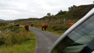 Gobhlan Taighe Self Catering Cottage Arisaig